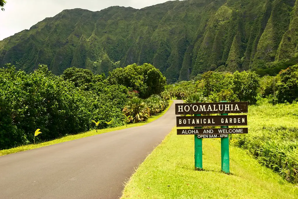 Bell Mountain students offer Maui words of encouragement