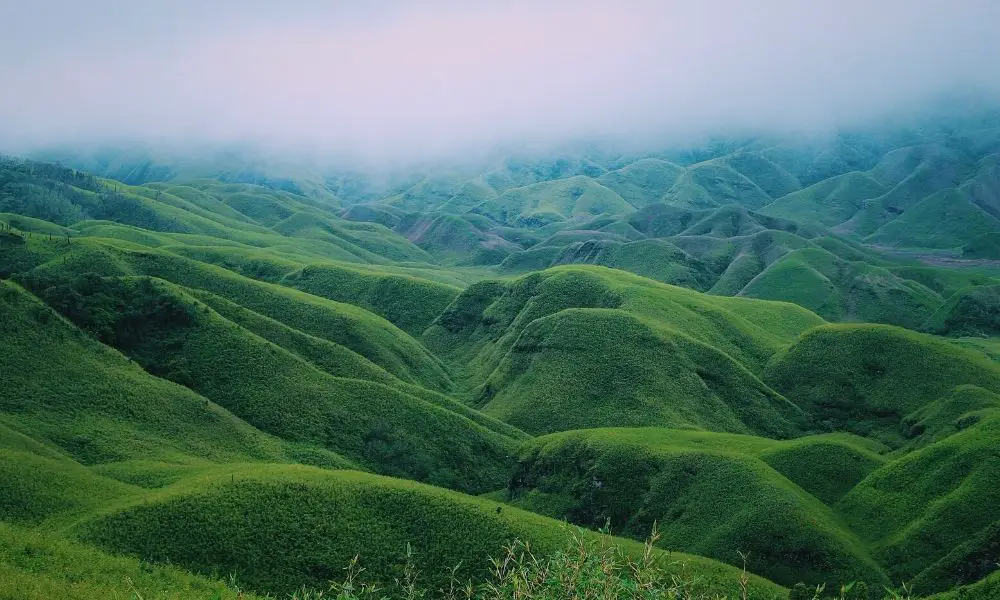 Dzukou Valley Trek:Exploring A Paradise Of Flowers In Nagaland